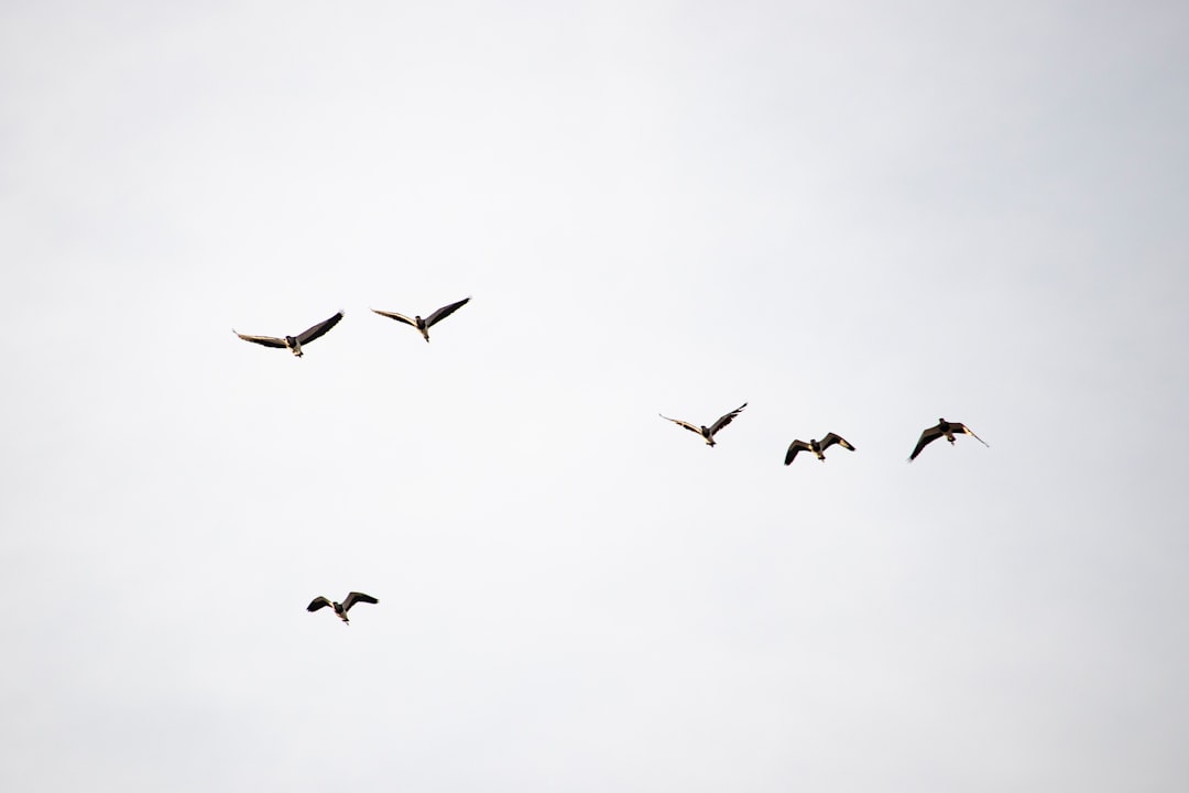 Blog afbeelding